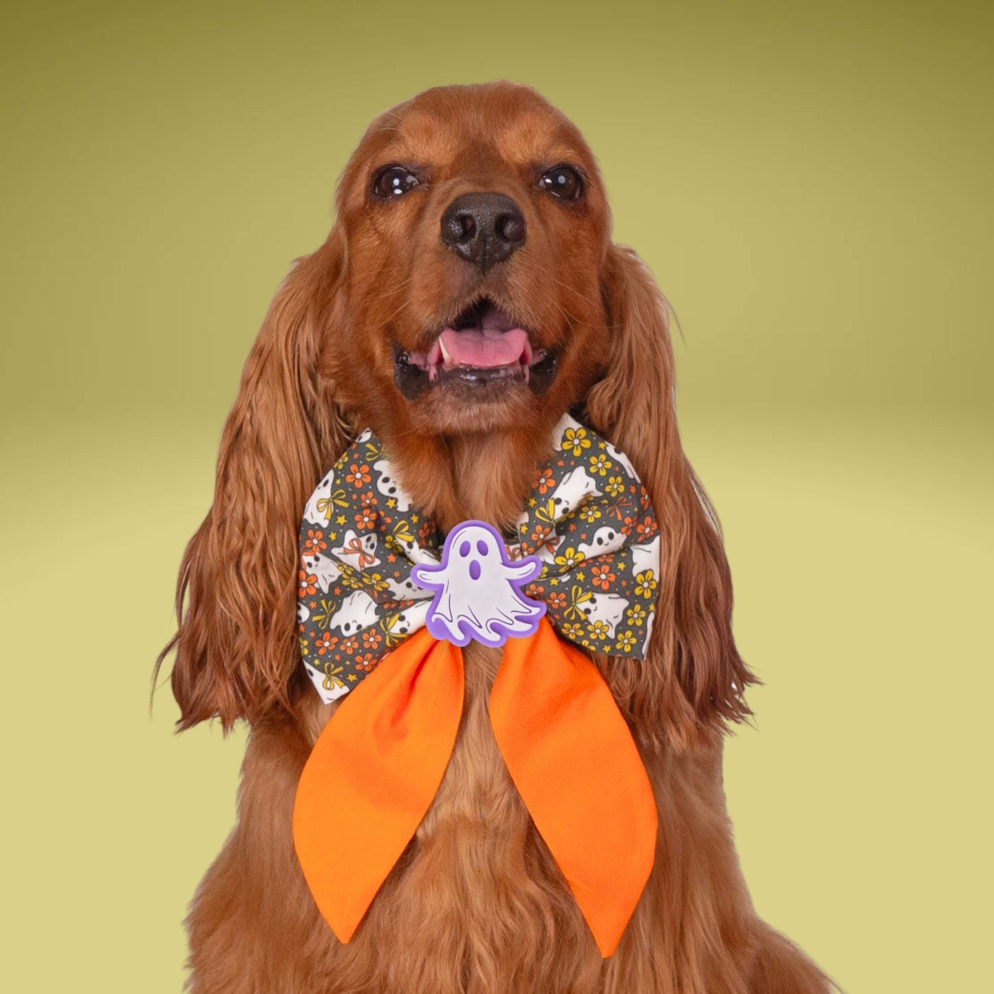 Sailor Bow Glow - in - the - Dark Ghost Bow by Life for Pawz – Handmade for pets