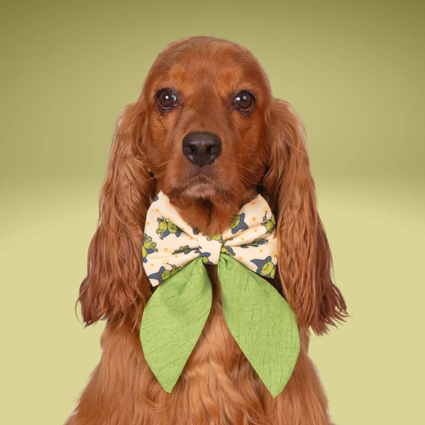 Sailor Bow Halloween Frog Sailor Bow with Initial by Life for Pawz – Handmade for pets