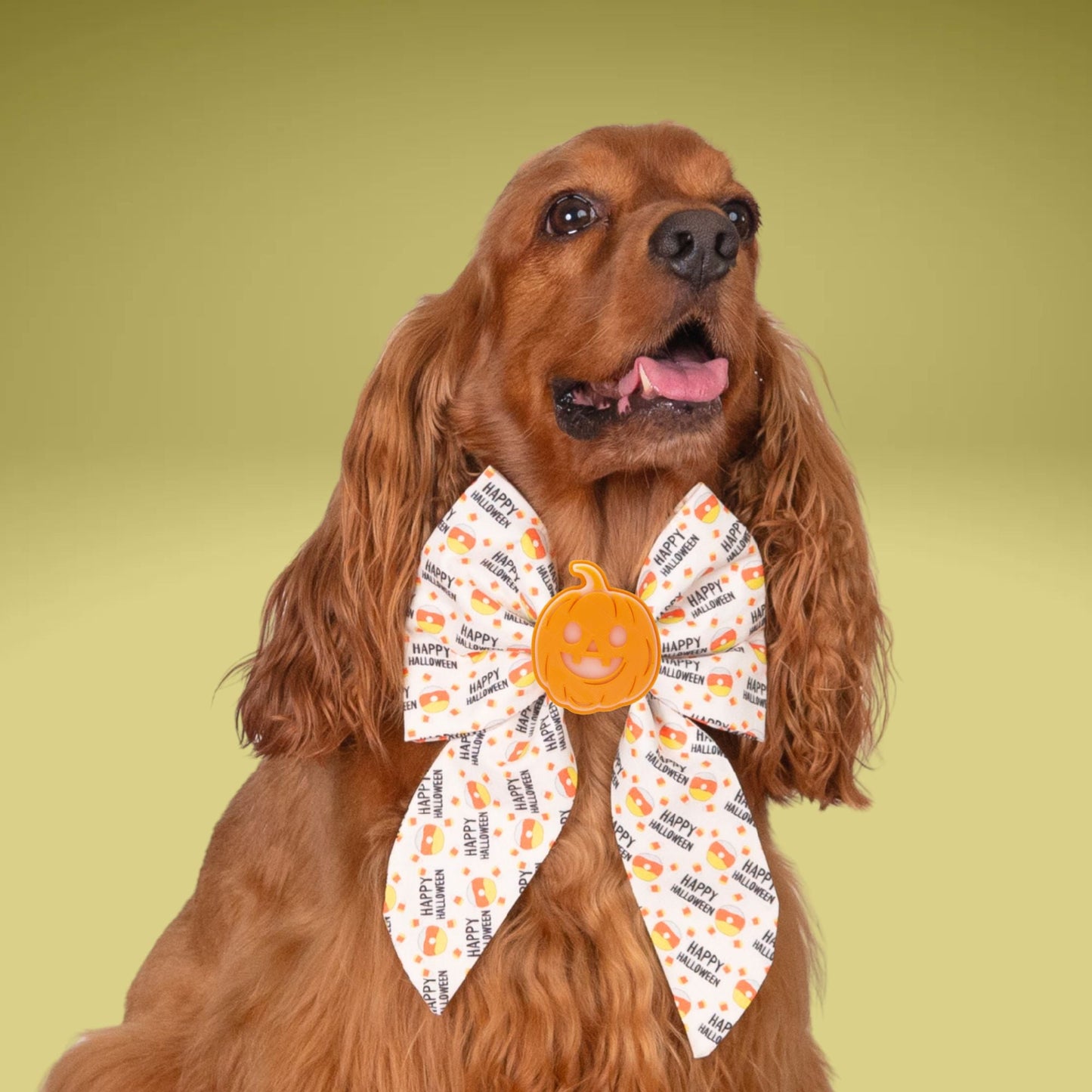 Sailor Bow Happy Halloween Candy Corn Sailor Bow by Life for Pawz – Handmade for pets