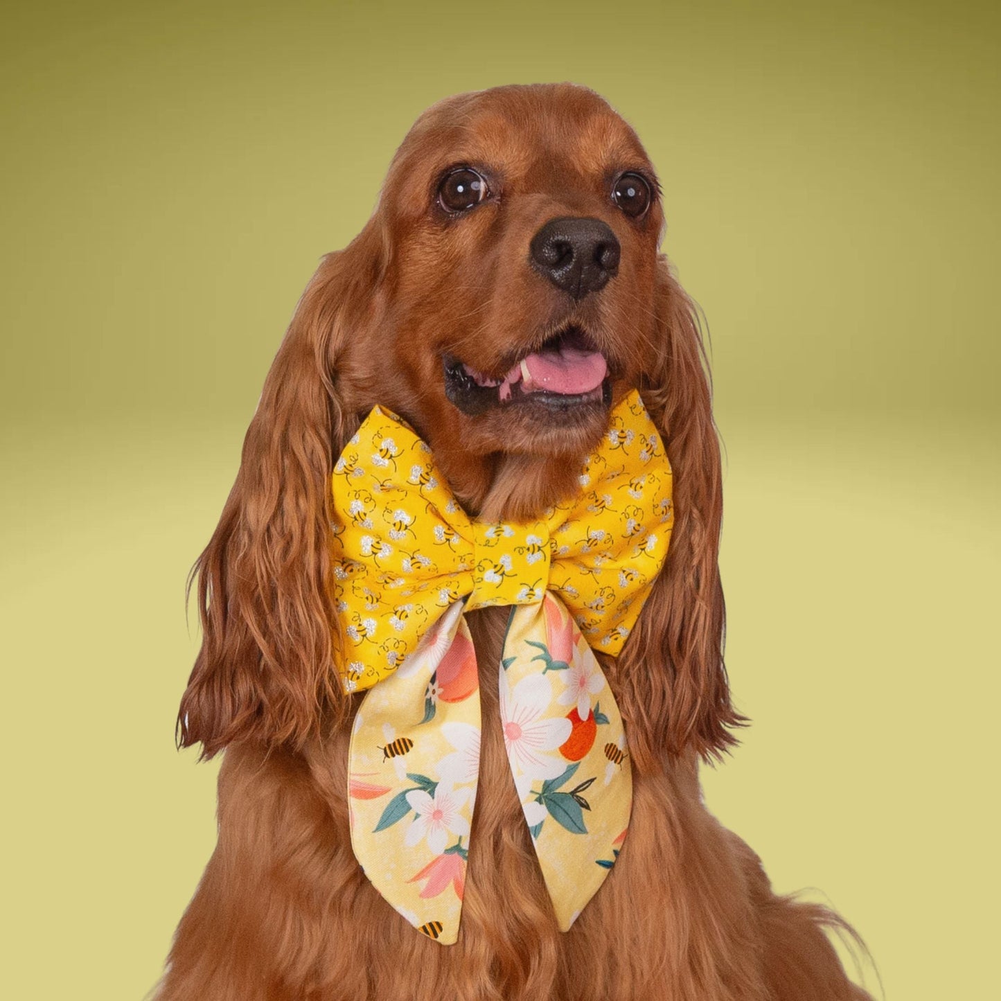 Sailor Bow Honeybee Sailor Bow with Initial Topper by Life for Pawz – Handmade for pets