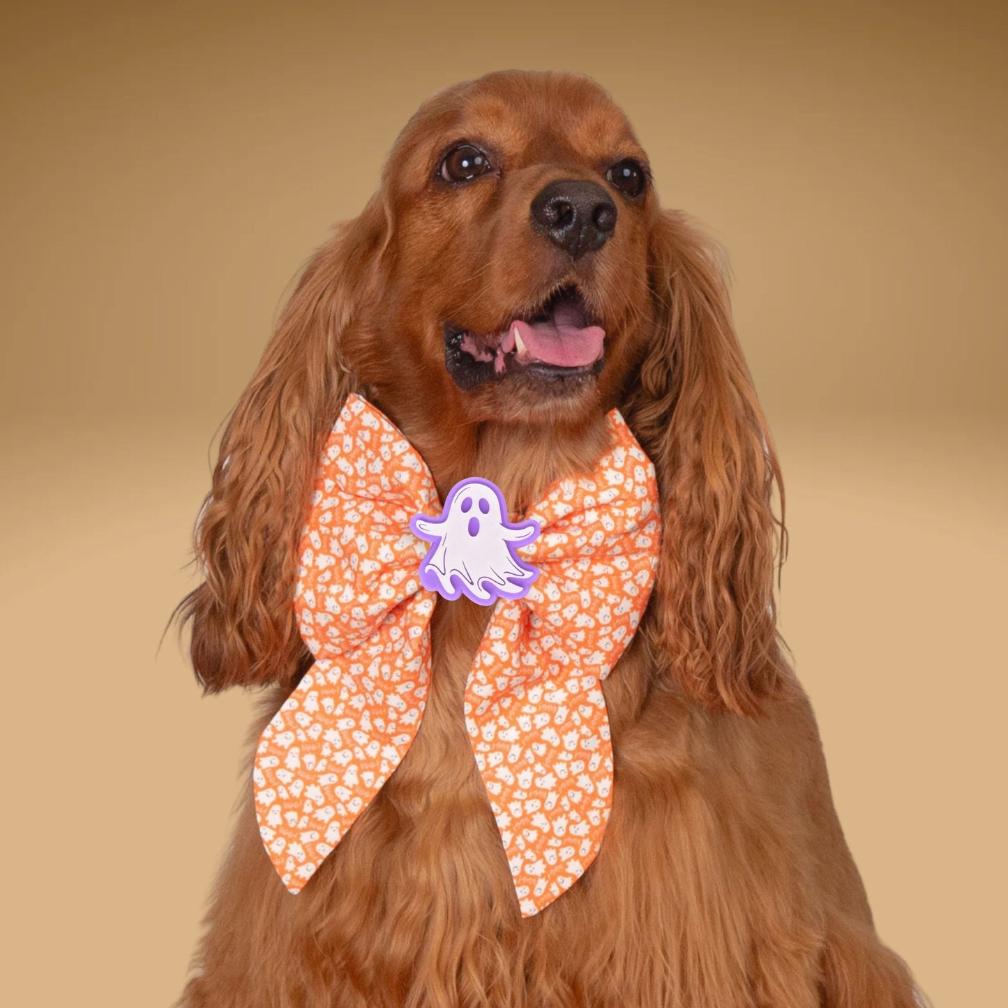 Sailor Bow Mini Ghost Orange Bow by Life for Pawz – Handmade for pets