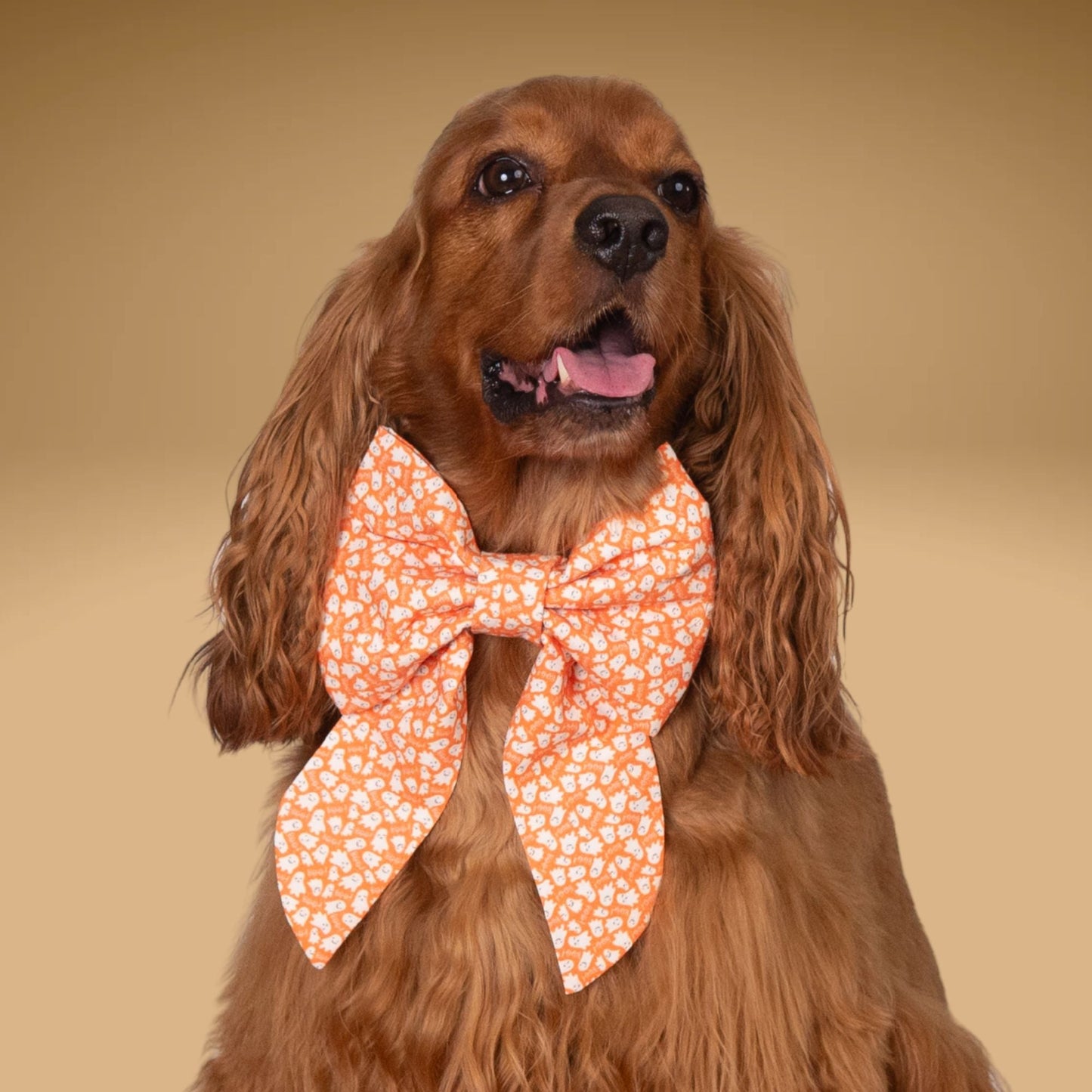 Sailor Bow Mini Ghost Orange Bow by Life for Pawz – Handmade for pets