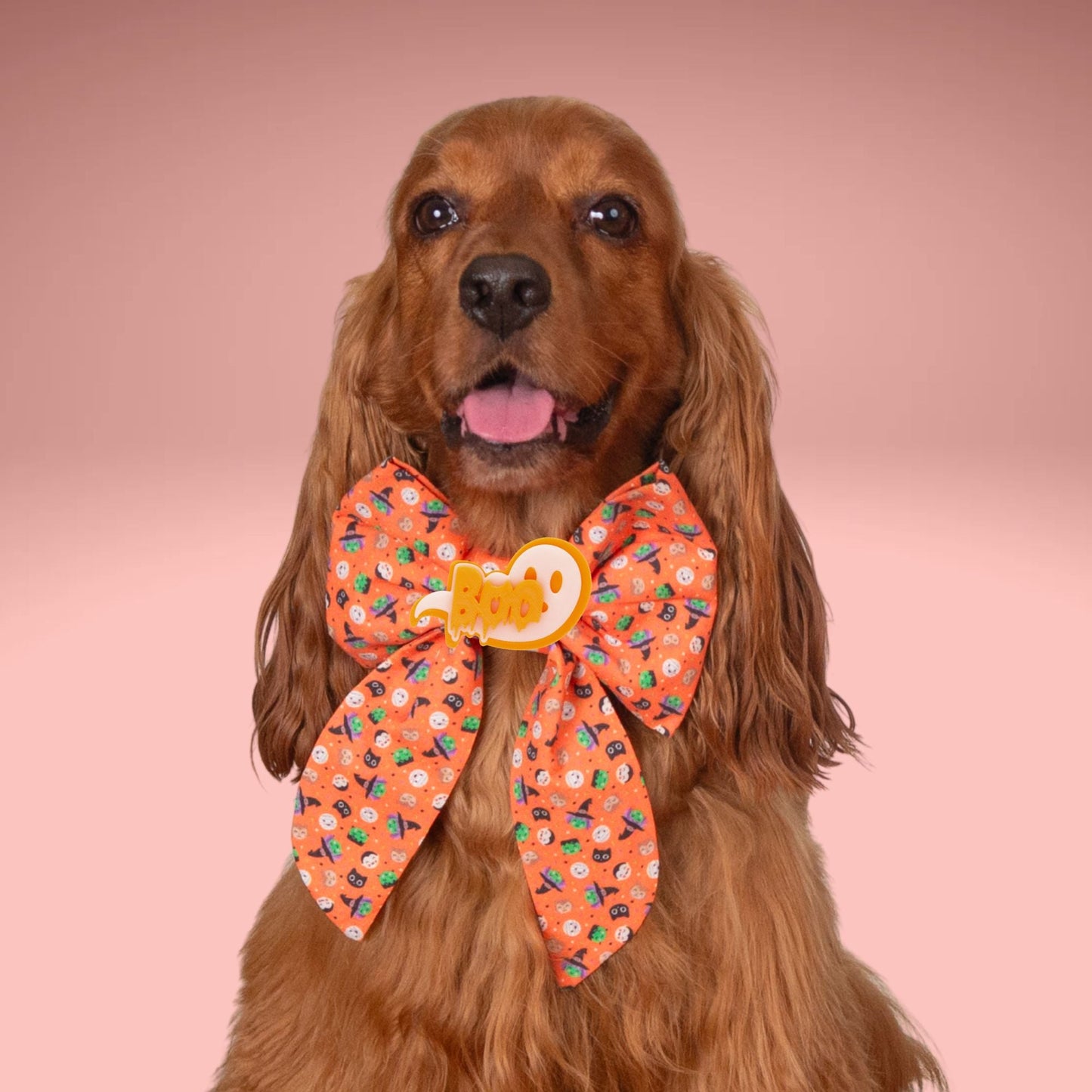 Sailor Bow Spooky Icons Bowtie by Life for Pawz – Handmade for pets
