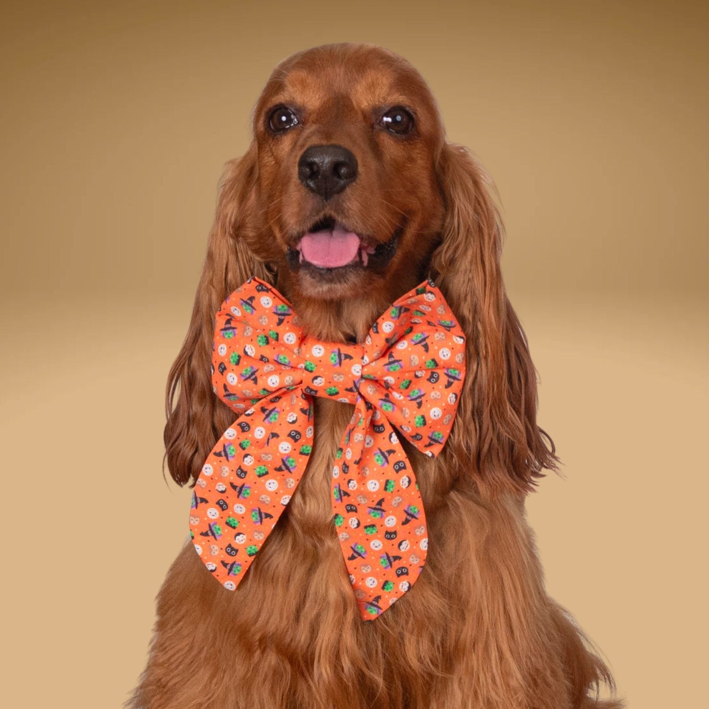 Sailor Bow Spooky Icons Bowtie by Life for Pawz – Handmade for pets