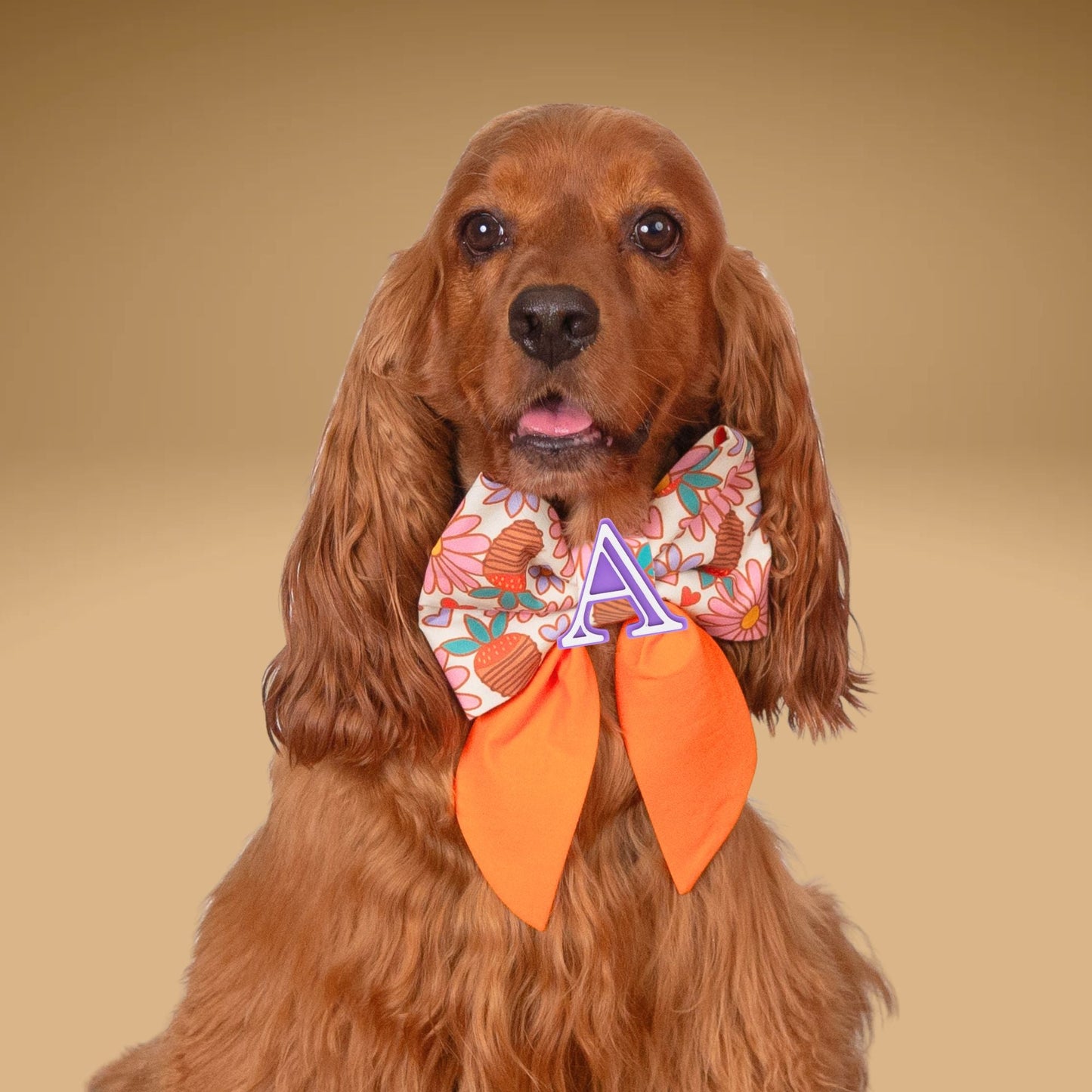 Sailor Bow Strawberry Daisy Sailor Bow with Initial by Life for Pawz – Handmade for pets