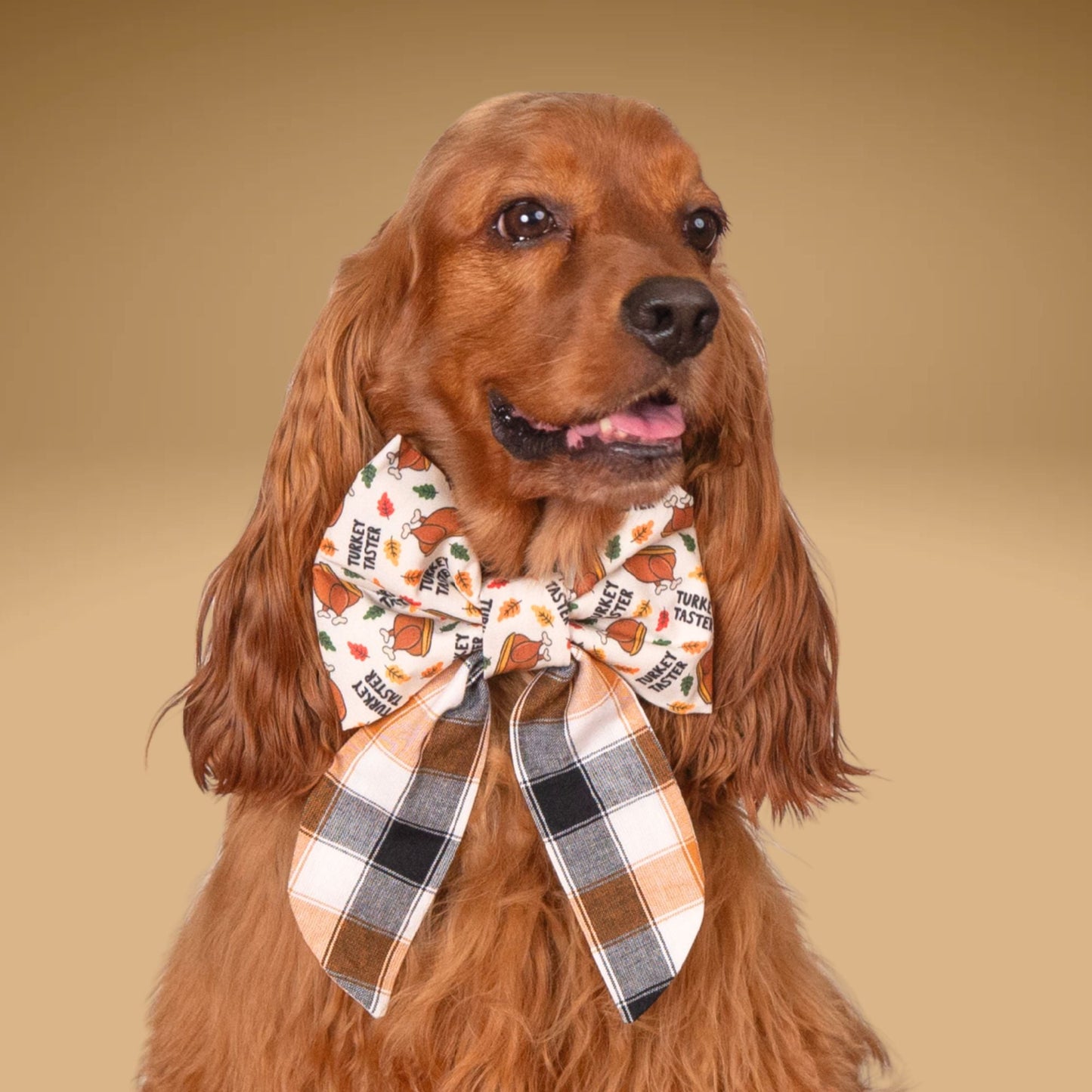 Sailor Bow Turkey Taster Sailor Bow by Life for Pawz – Handmade for pets