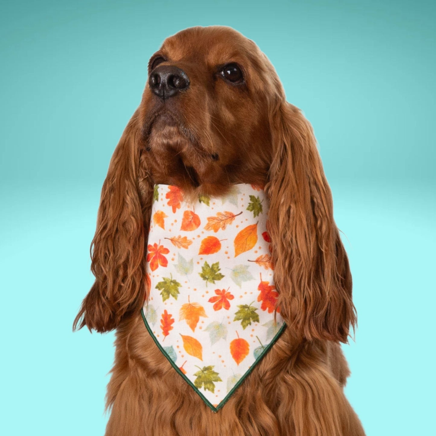 Scrunchie Bandanas Autumn Leaves by Life for Pawz – Handmade for pets