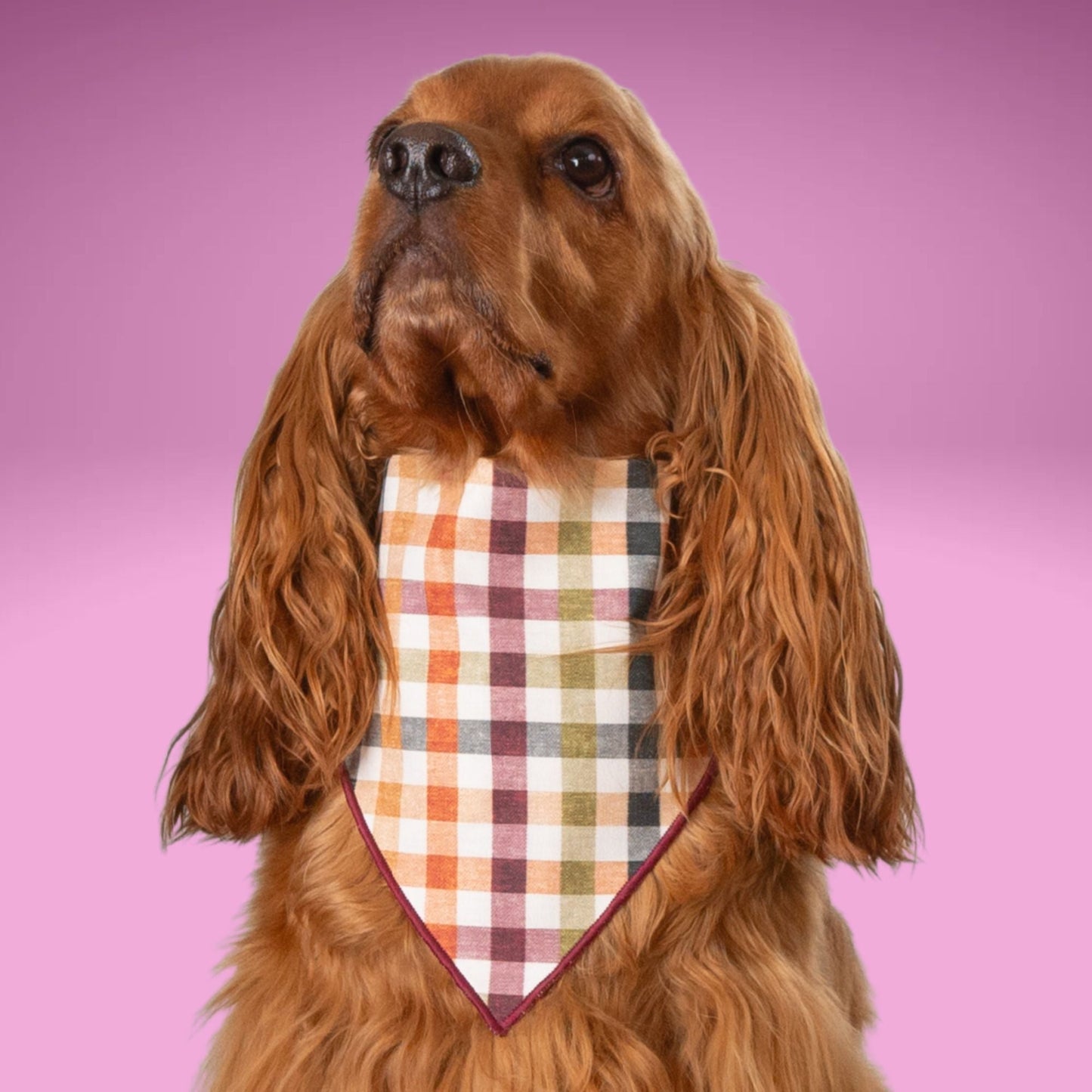 Scrunchie Bandanas Autumn Plaid by Life for Pawz – Handmade for pets
