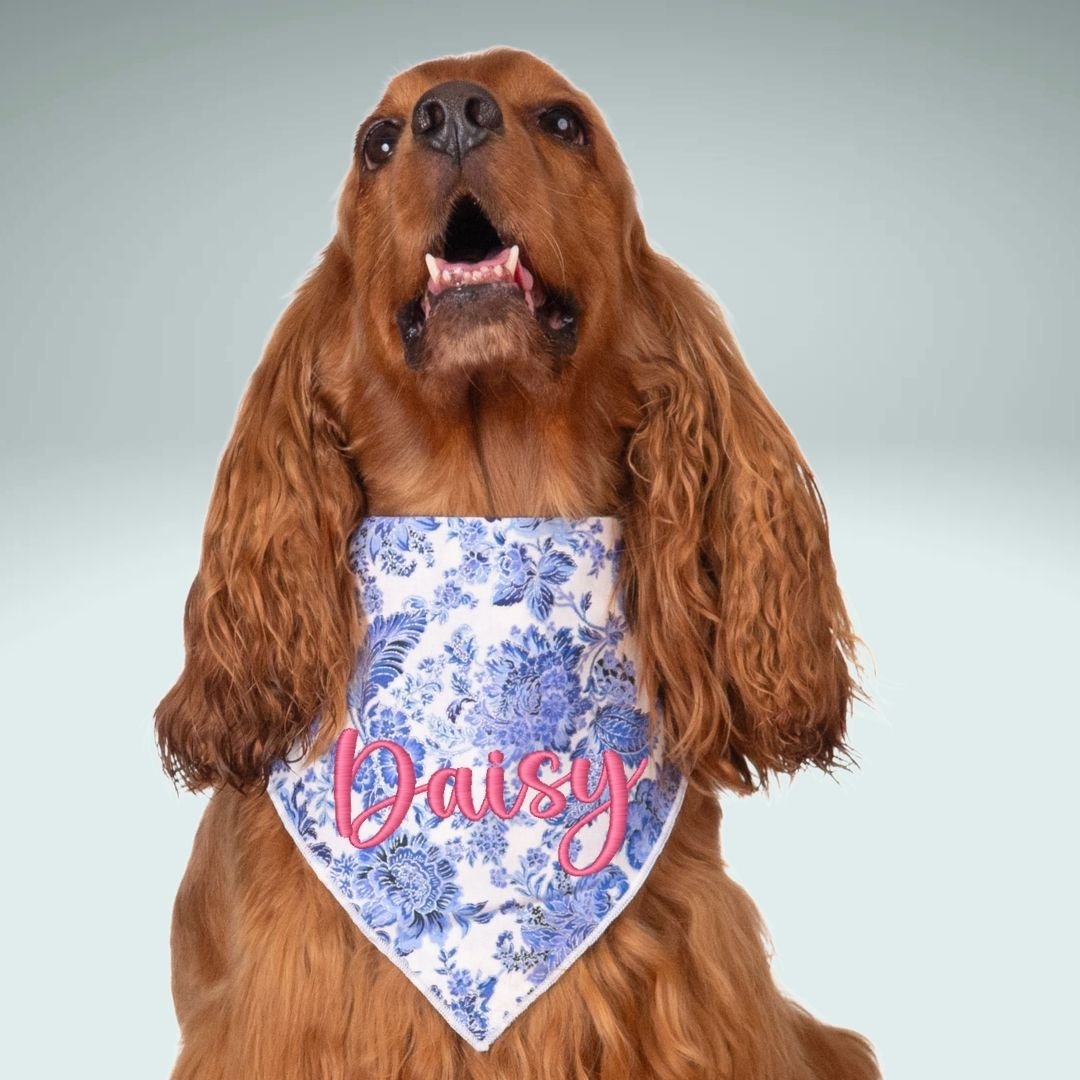 Scrunchie Bandanas Blue Floral Embroidered Scrunchie Dog Bandana by Life for Pawz – Handmade for pets