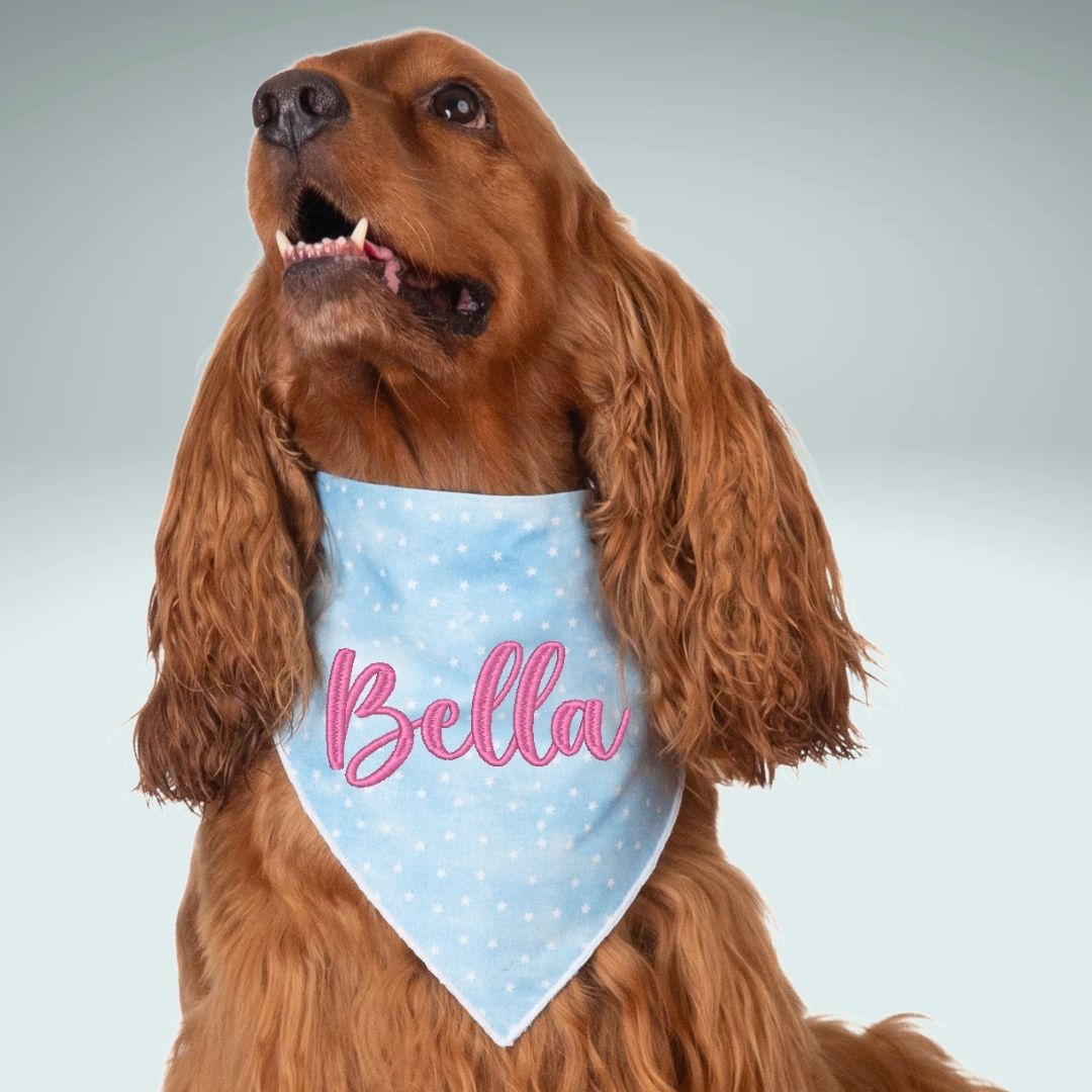 Scrunchie Bandanas Blue Stars Embroidered Scrunchie Dog Bandana by Life for Pawz – Handmade for pets