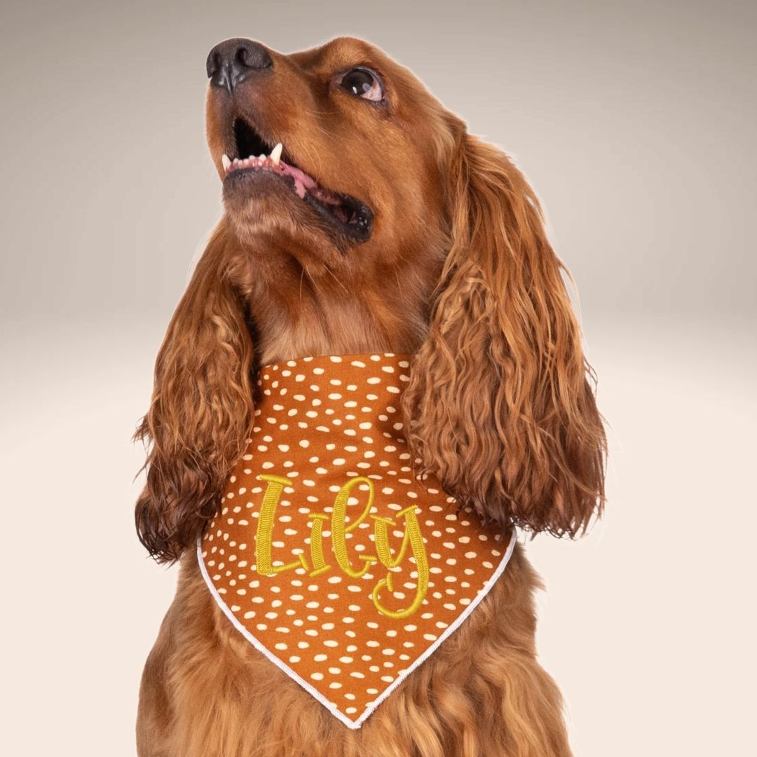 Scrunchie Bandanas Brown Speckle Embroidered Scrunchie Dog Bandana by Life for Pawz – Handmade for pets