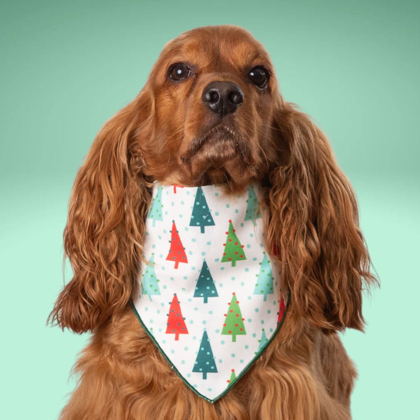 Scrunchie Bandanas Christmas Trees by Life for Pawz – Handmade for pets