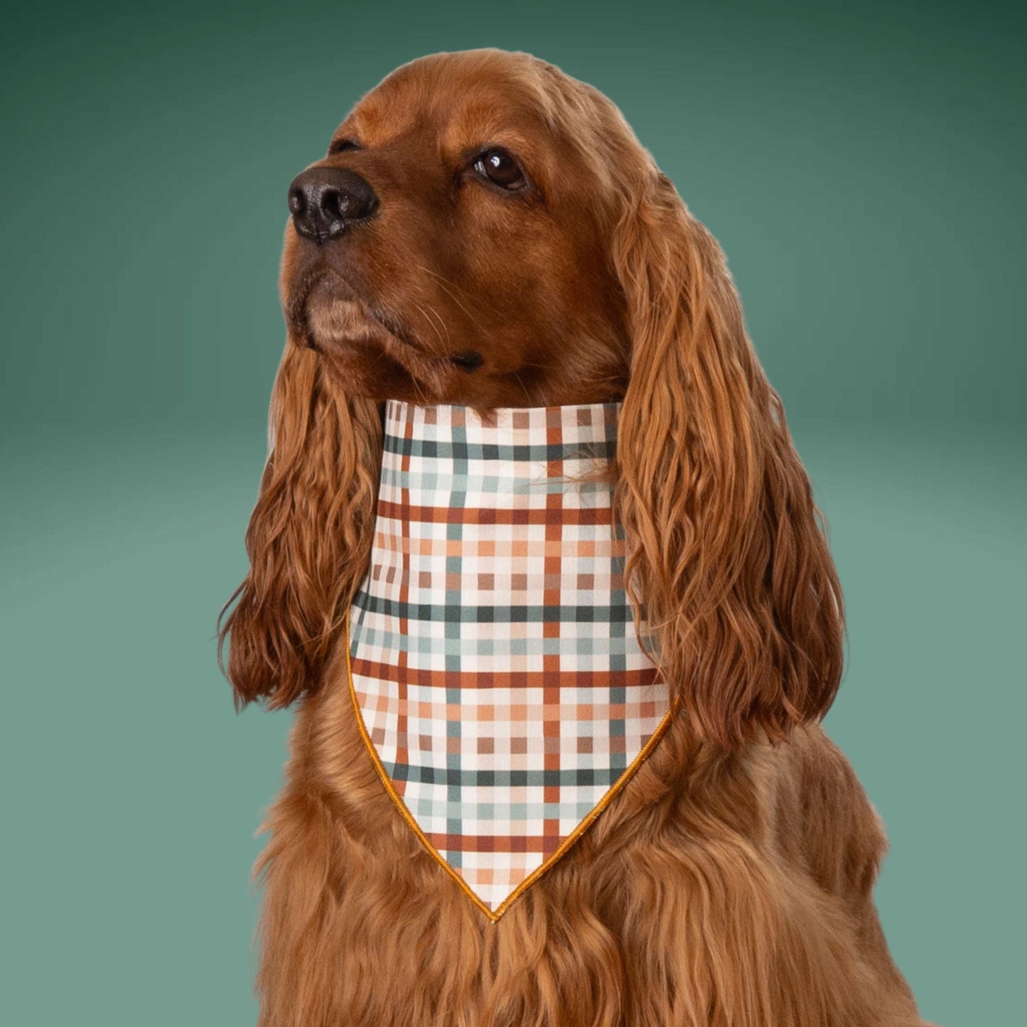 Scrunchie Bandanas Fall Plaid by Life for Pawz – Handmade for pets