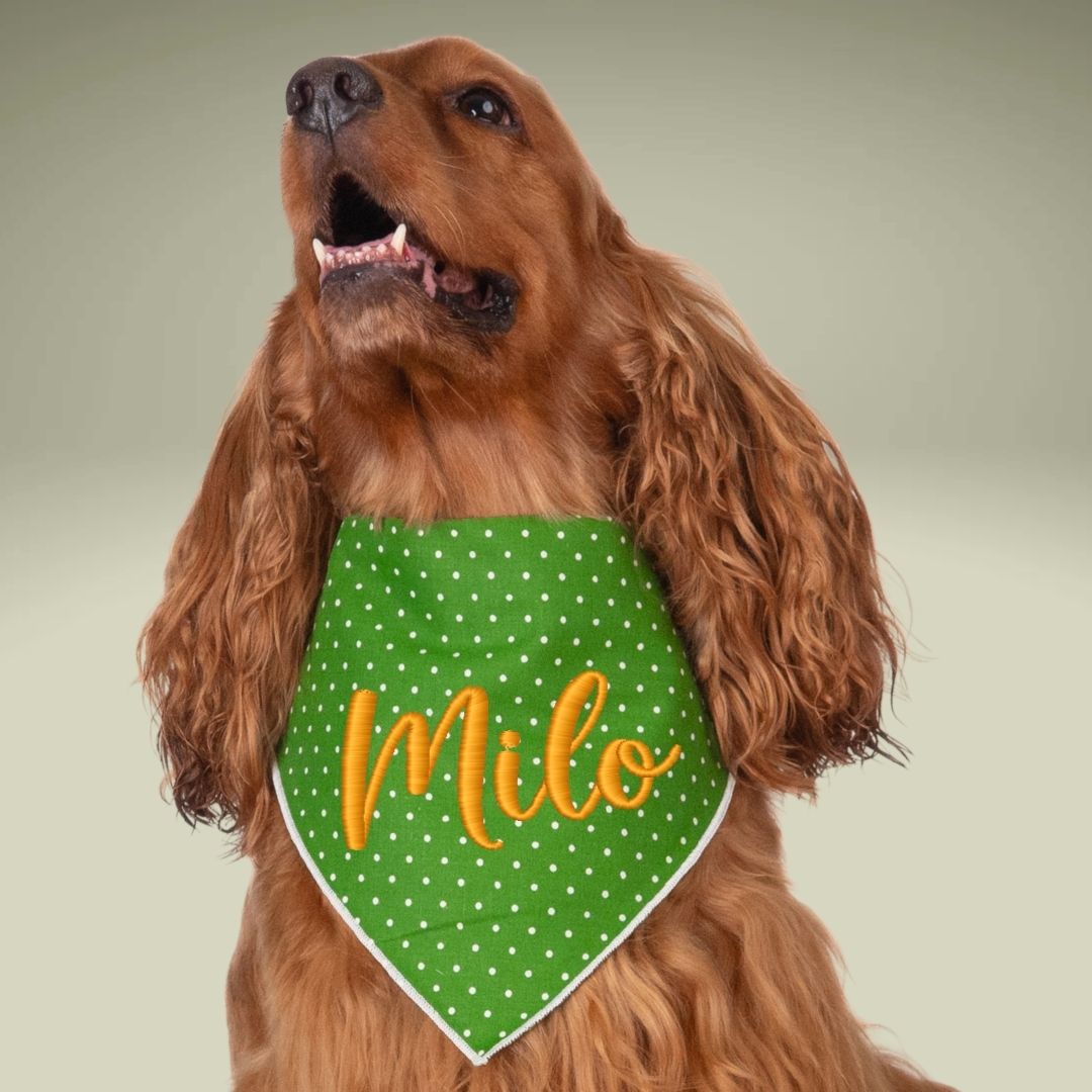 Scrunchie Bandanas Green Polka Dot Embroidered Scrunchie Dog Bandana by Life for Pawz – Handmade for pets