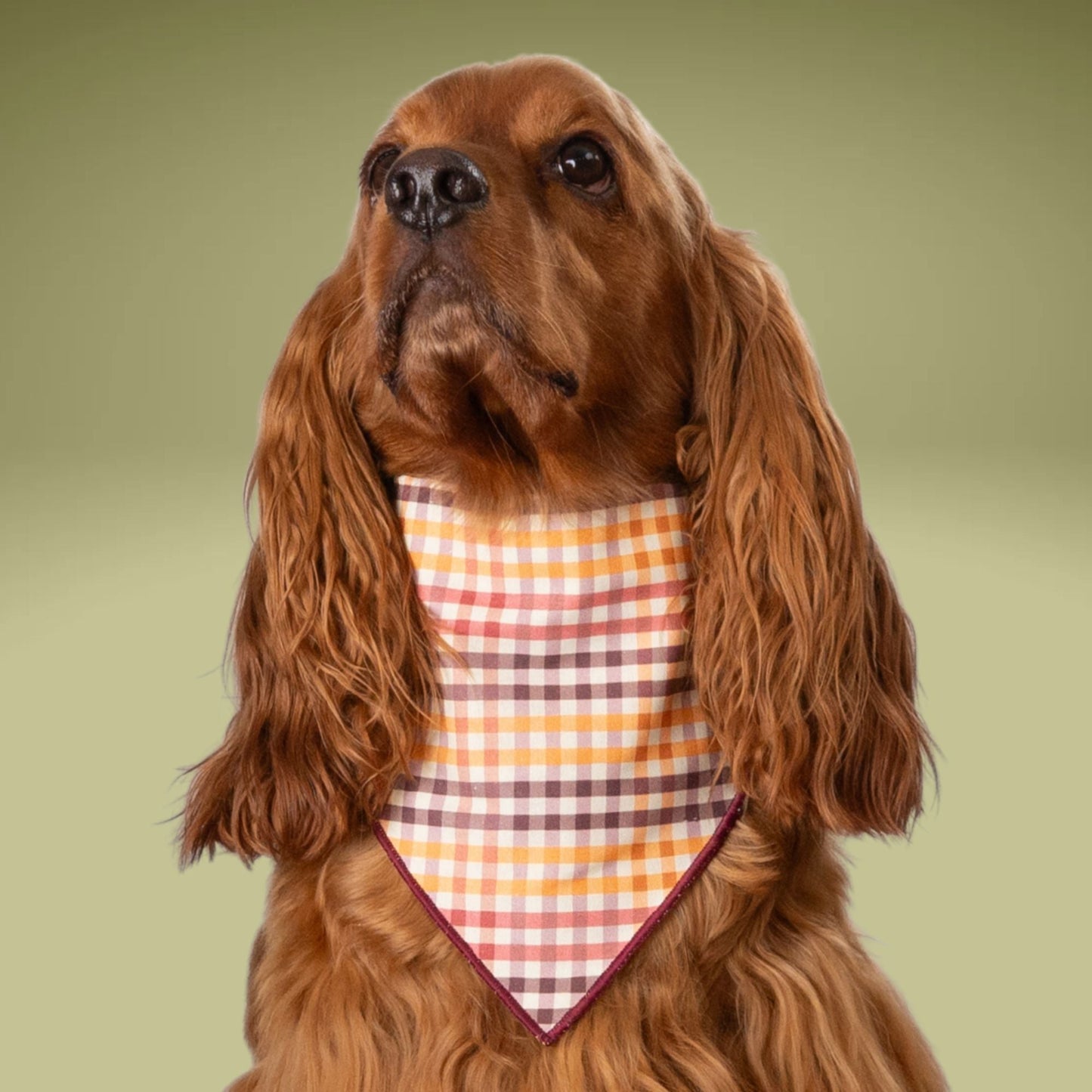 Scrunchie Bandanas Harvest Plaid by Life for Pawz – Handmade for pets