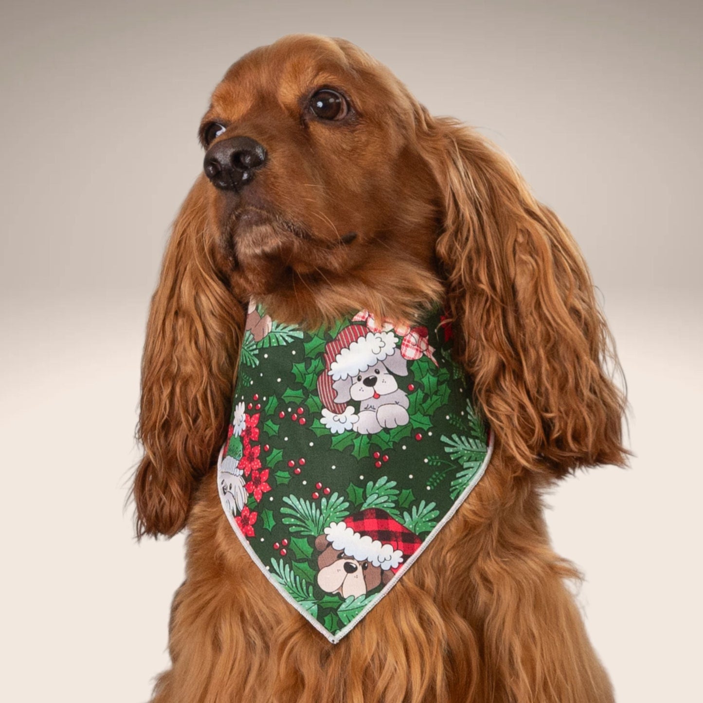 Scrunchie Bandanas Holiday Puppies by Life for Pawz – Handmade for pets