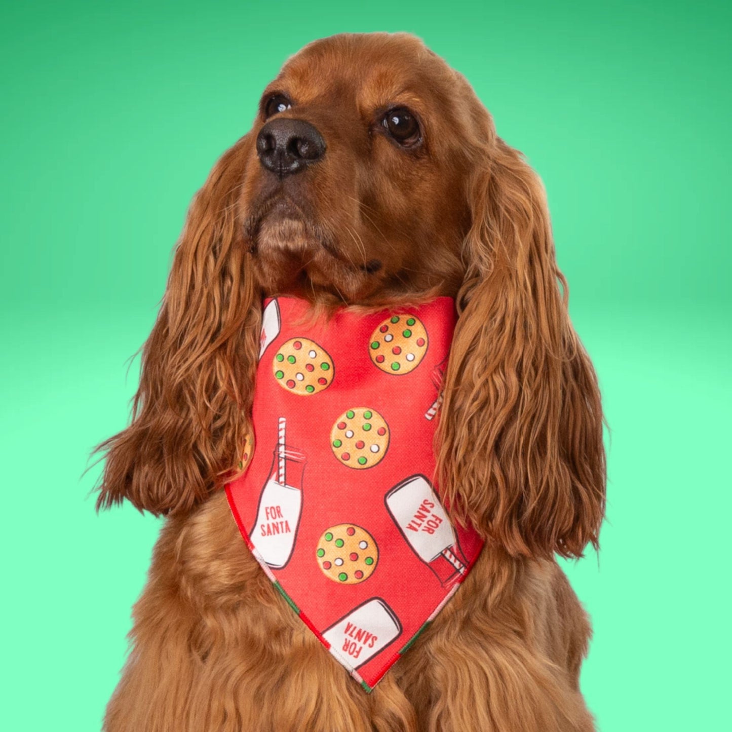 Scrunchie Bandanas Milk & Cookies by Life for Pawz – Handmade for pets