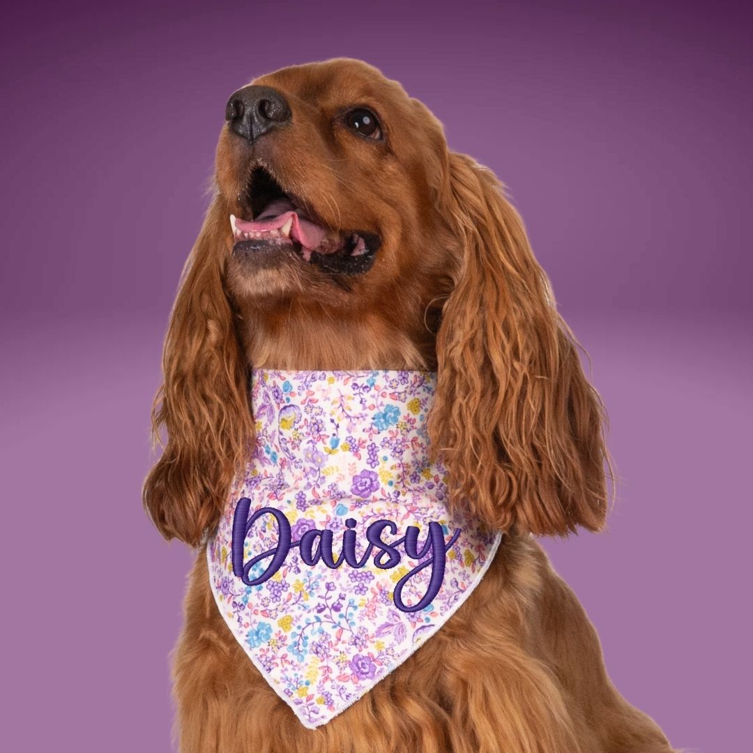 Scrunchie Bandanas Purple Floral Embroidered Scrunchie Dog Bandana by Life for Pawz – Handmade for pets