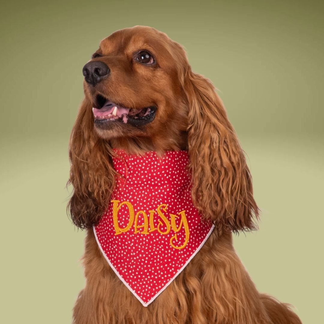 Scrunchie Bandanas Red Polka Dot Embroidered Scrunchie Dog Bandana by Life for Pawz – Handmade for pets