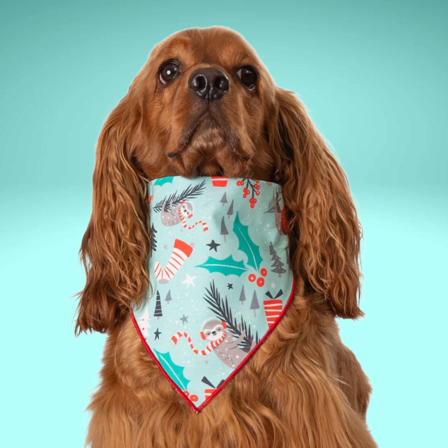 Scrunchie Bandanas Sloth Christmas by Life for Pawz – Handmade for pets
