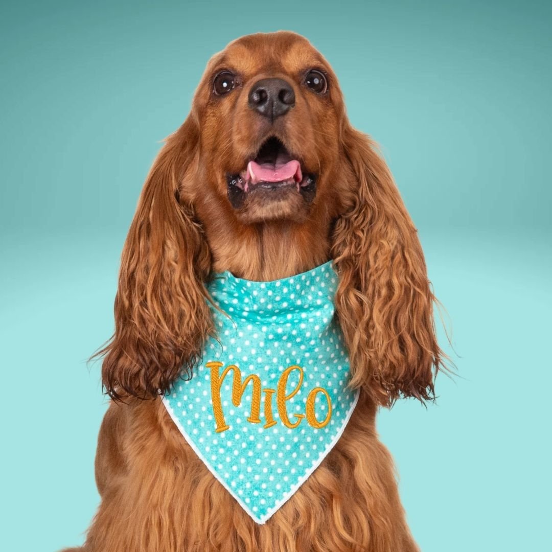 Scrunchie Bandanas Turquoise Polka Dot Embroidered Scrunchie Dog Bandana by Life for Pawz – Handmade for pets