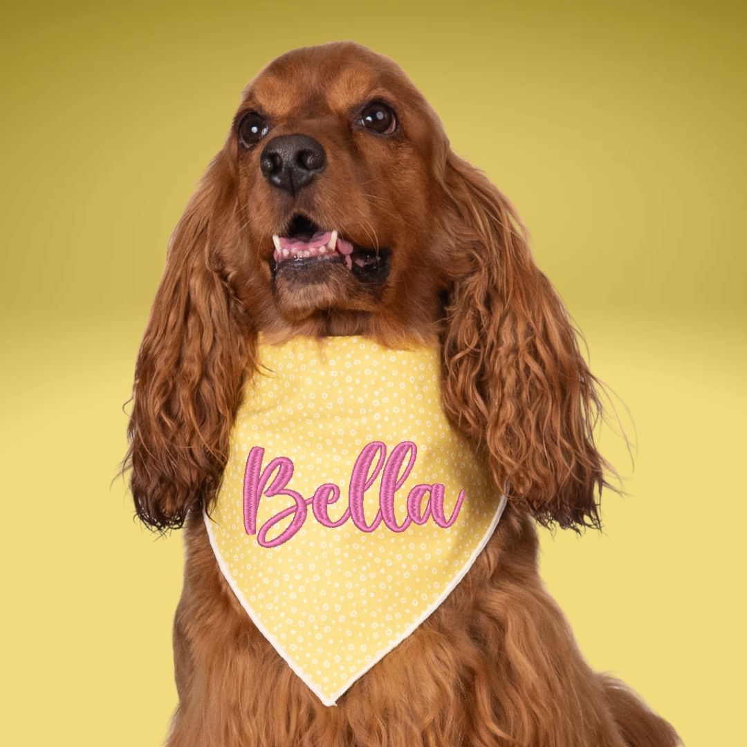 Scrunchie Bandanas Yellow Dots Embroidered Scrunchie Dog Bandana by Life for Pawz – Handmade for pets