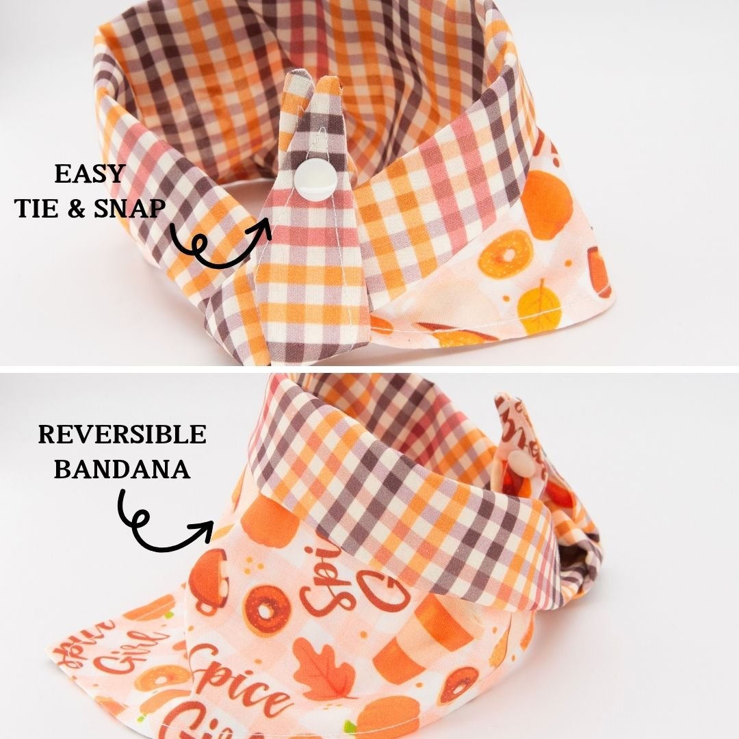 Tie and Snap Autumn Spice by Life for Pawz – Handmade for pets