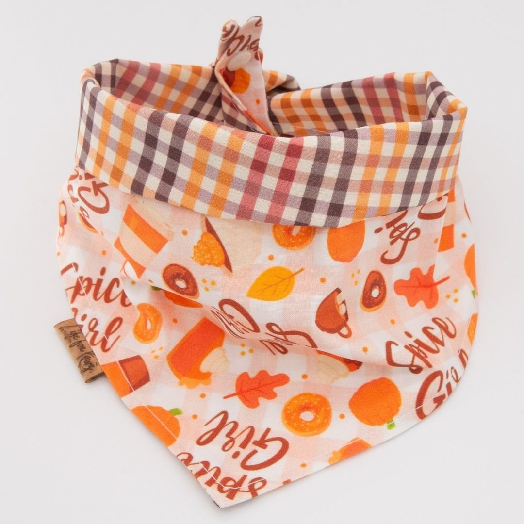 Tie and Snap Autumn Spice by Life for Pawz – Handmade for pets