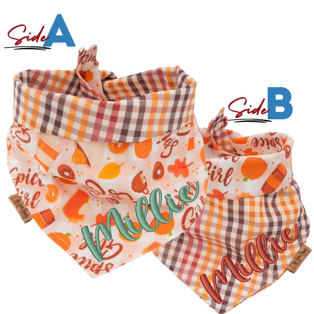 Tie and Snap Autumn Spice by Life for Pawz – Handmade for pets