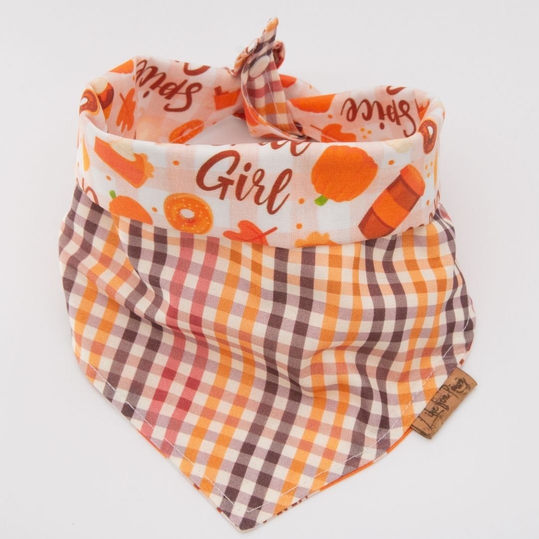 Tie and Snap Autumn Spice by Life for Pawz – Handmade for pets
