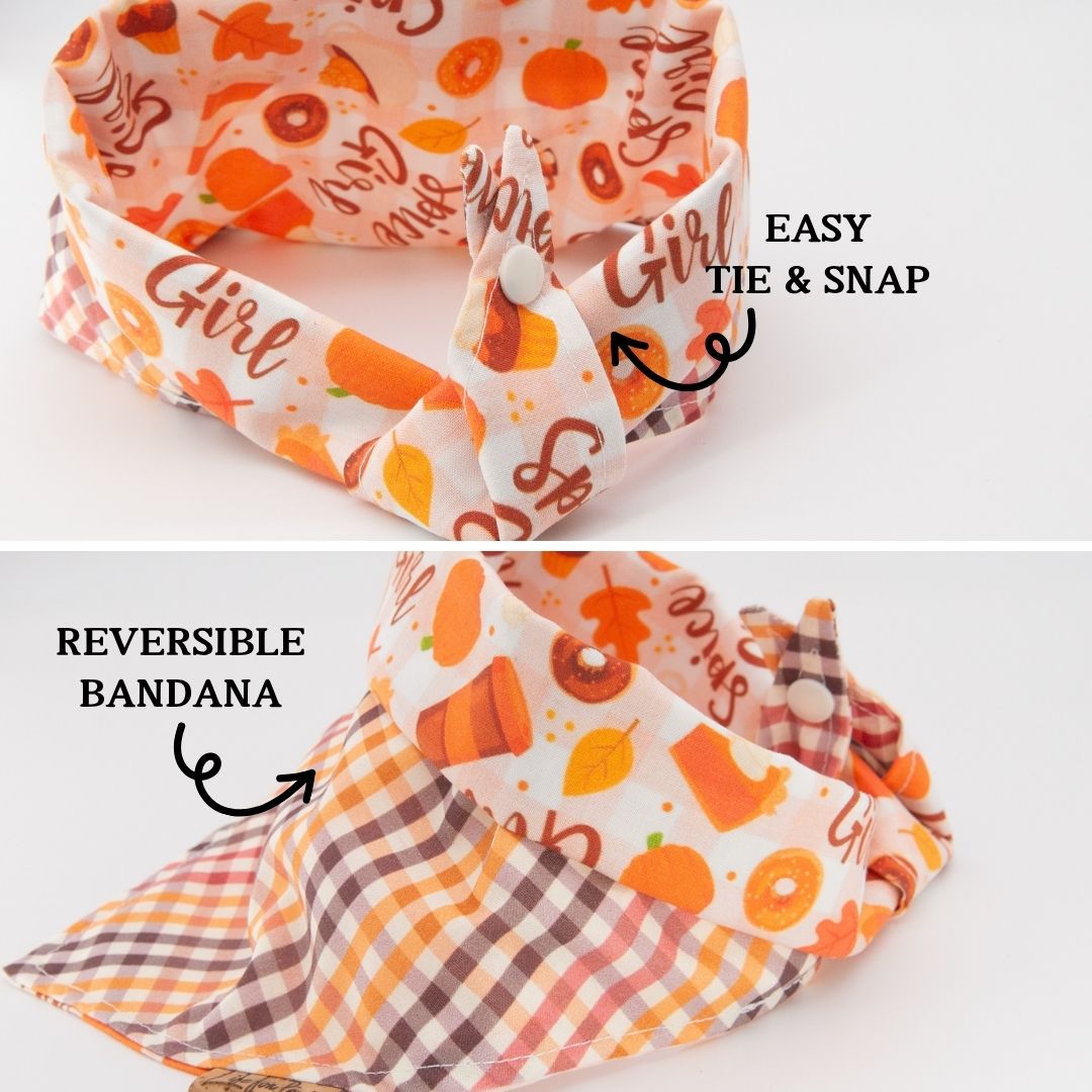 Tie and Snap Autumn Spice by Life for Pawz – Handmade for pets