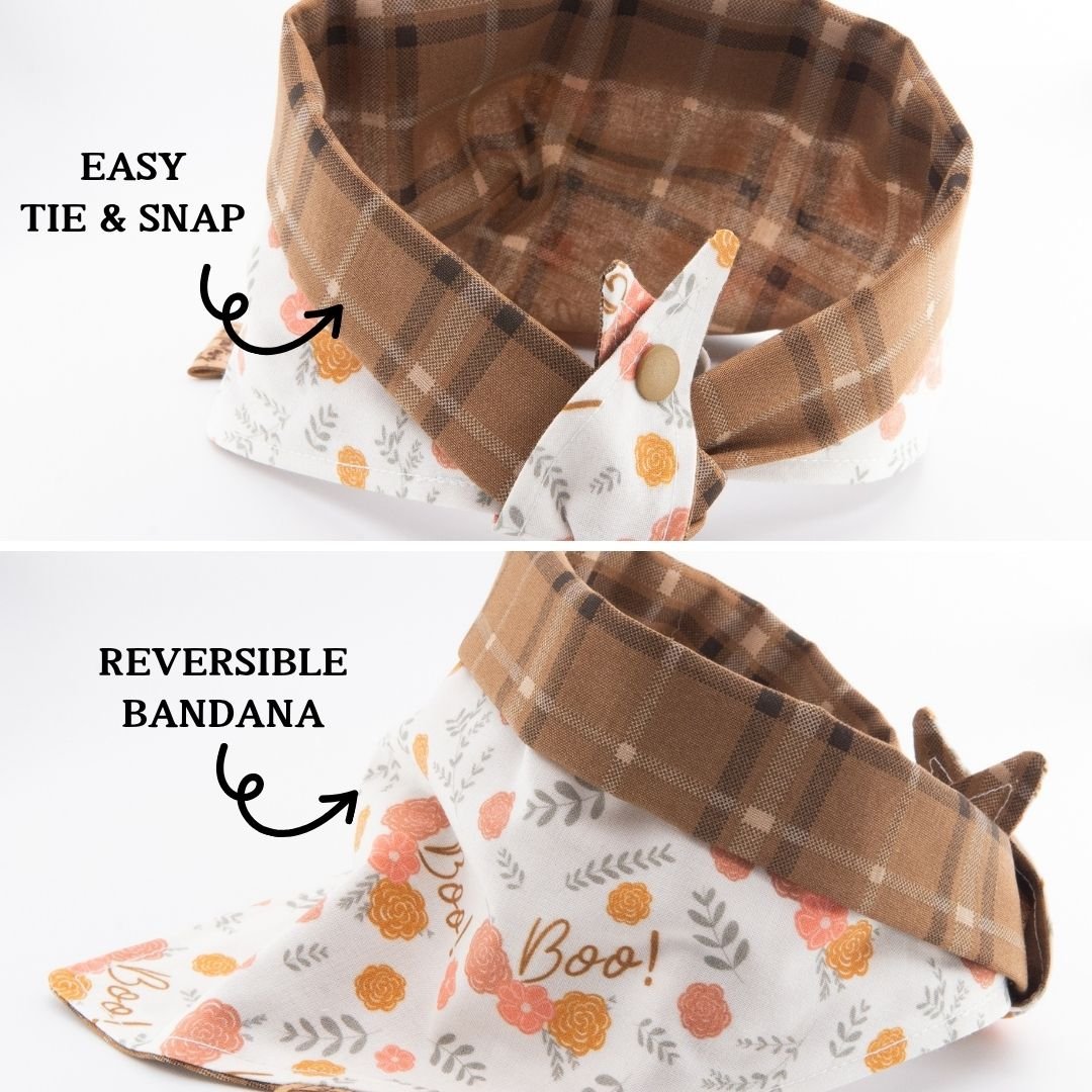 Tie and Snap Boo Blooms by Life for Pawz – Handmade for pets