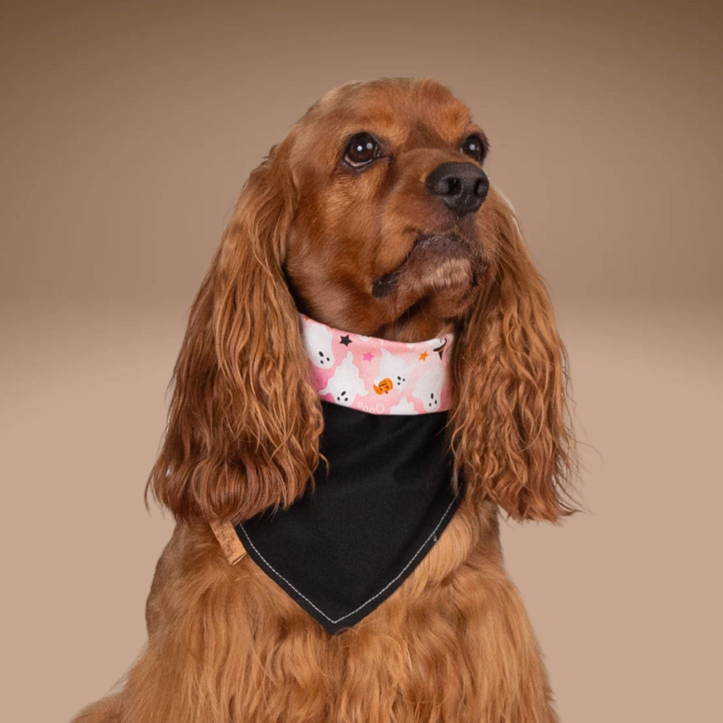 Tie and Snap Boo Crew by Life for Pawz – Handmade for pets