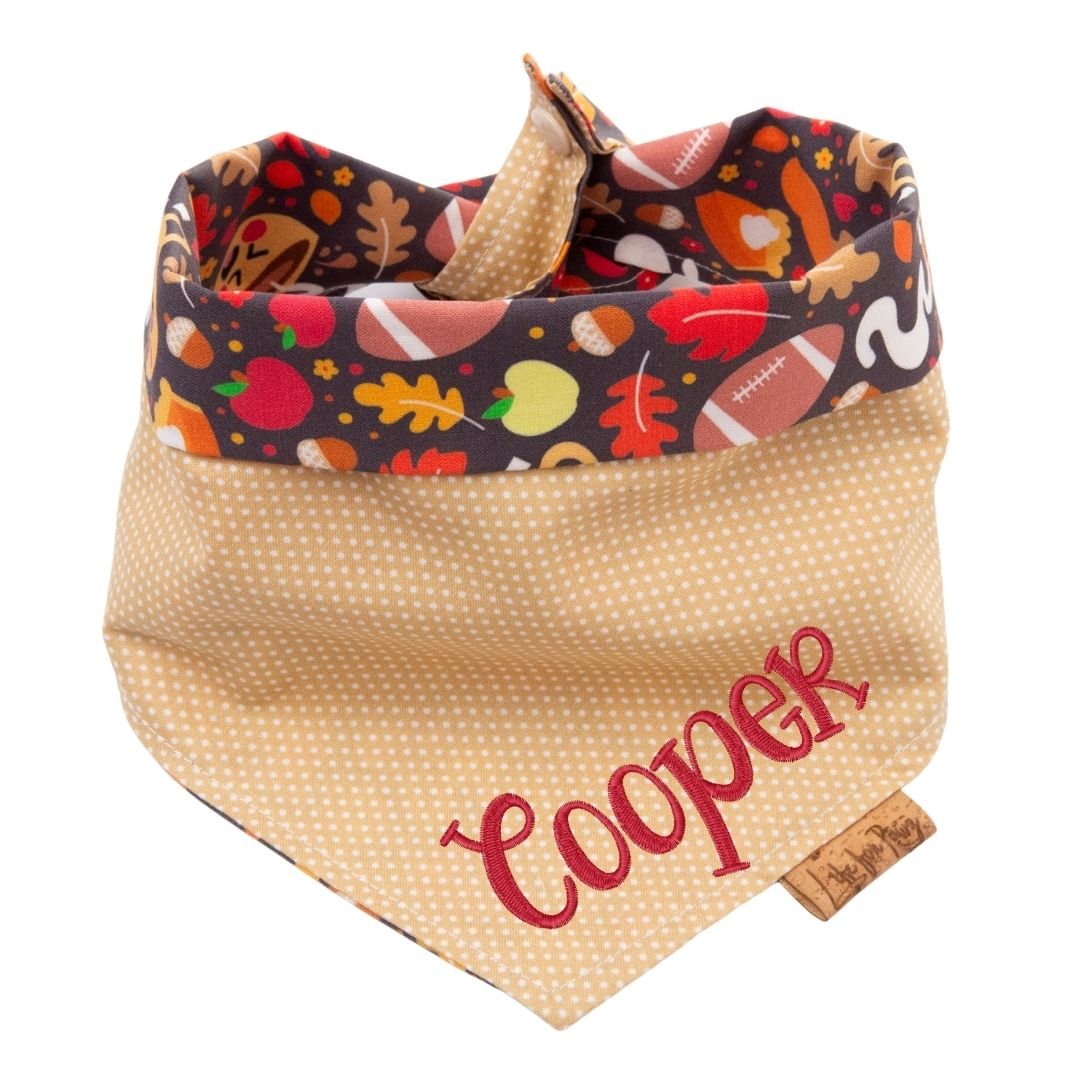Tie and Snap Cozy Game Day by Life for Pawz – Handmade for pets