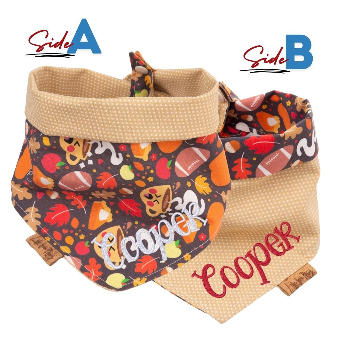Tie and Snap Cozy Game Day by Life for Pawz – Handmade for pets