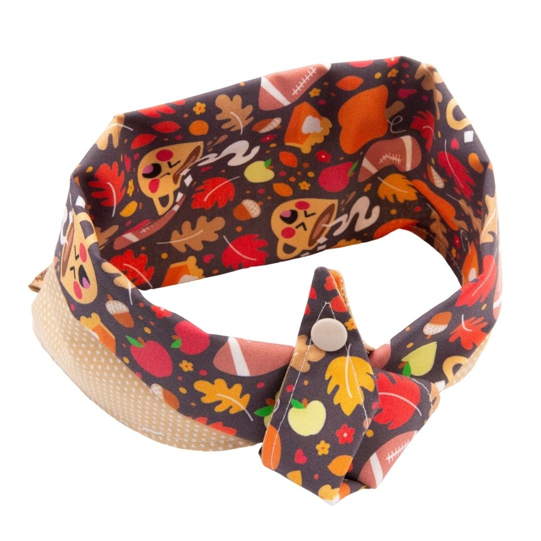 Tie and Snap Cozy Game Day by Life for Pawz – Handmade for pets