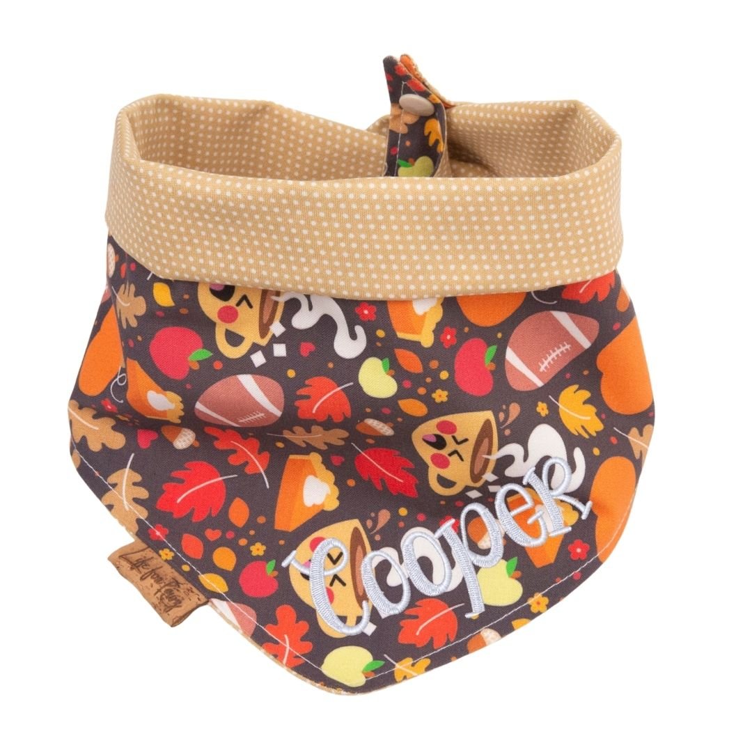 Tie and Snap Cozy Game Day by Life for Pawz – Handmade for pets