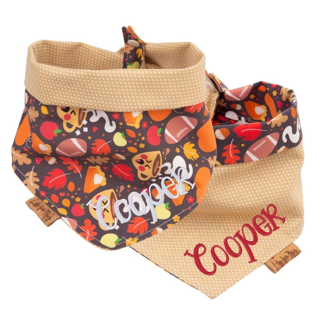 Tie and Snap Cozy Game Day by Life for Pawz – Handmade for pets