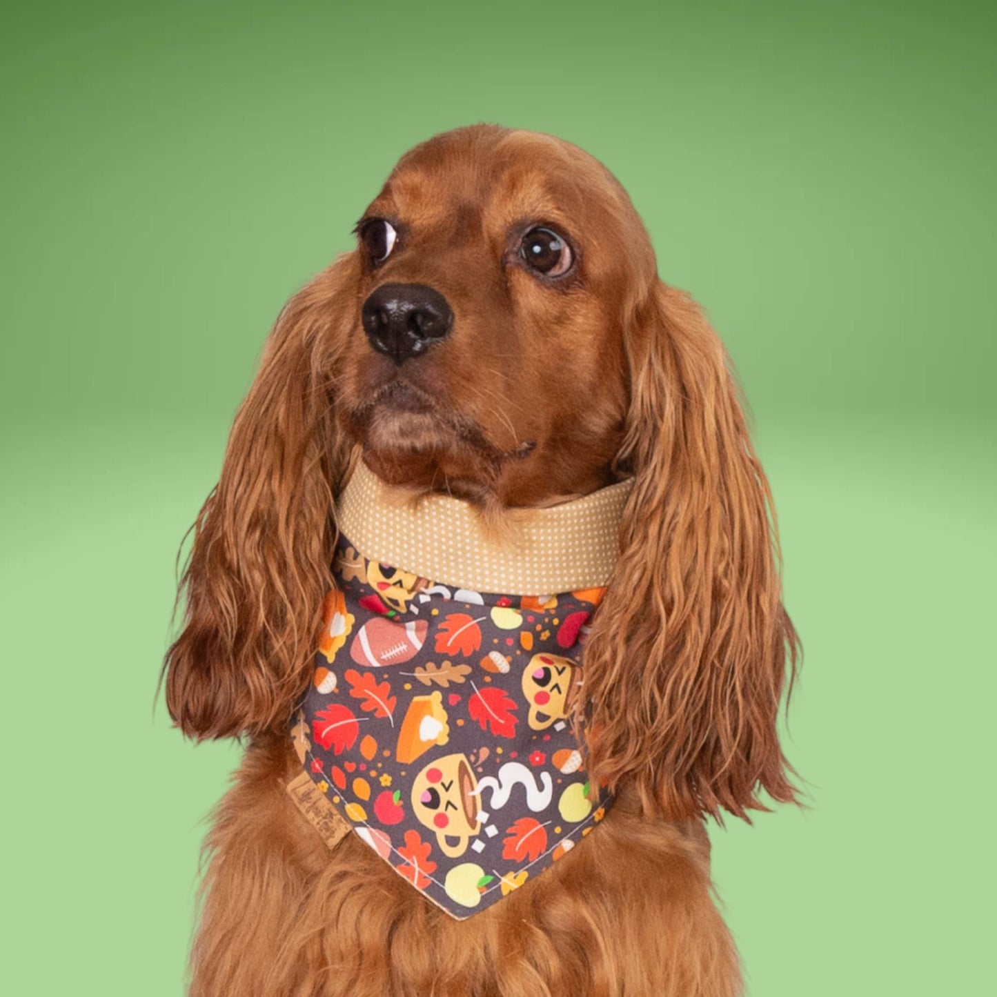 Tie and Snap Cozy Game Day by Life for Pawz – Handmade for pets