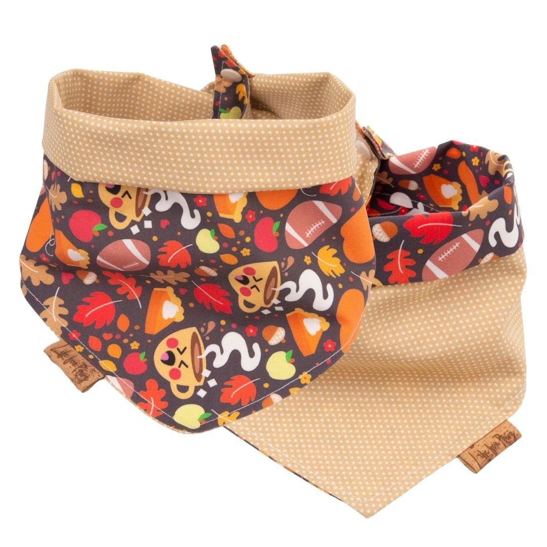 Tie and Snap Cozy Game Day by Life for Pawz – Handmade for pets