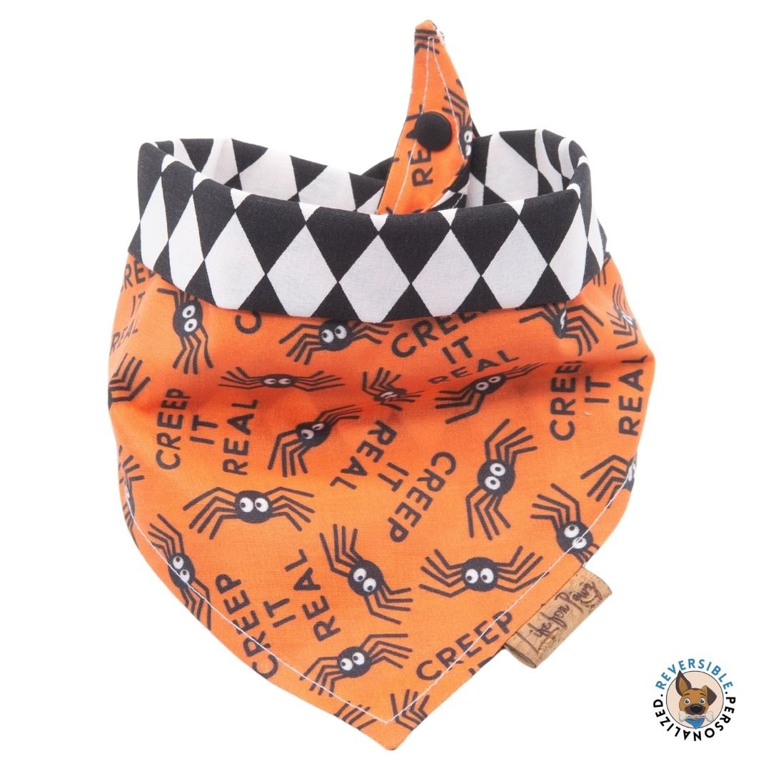 Tie and Snap Creep It Real by Life for Pawz – Handmade for pets