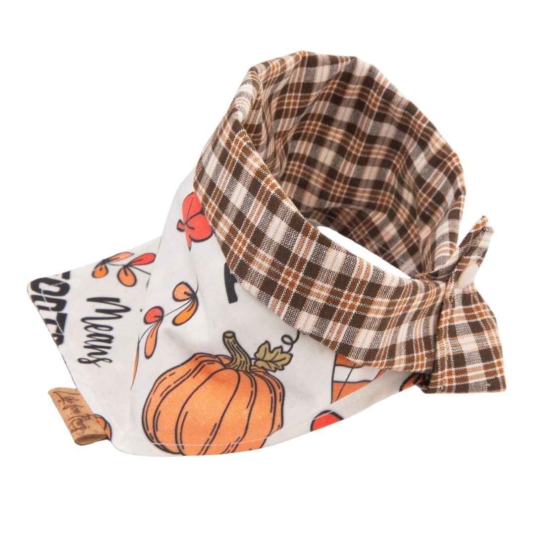 Tie and Snap Fall Football by Life for Pawz – Handmade for pets