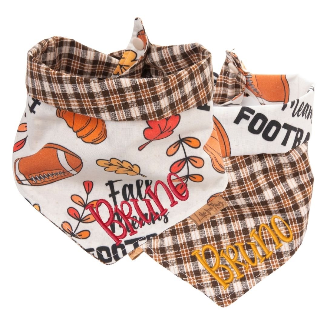 Tie and Snap Fall Football by Life for Pawz – Handmade for pets
