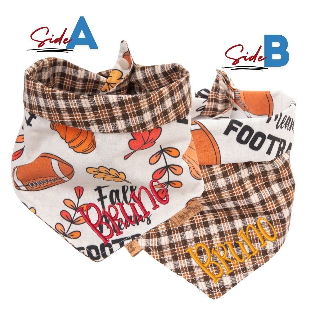 Tie and Snap Fall Football by Life for Pawz – Handmade for pets
