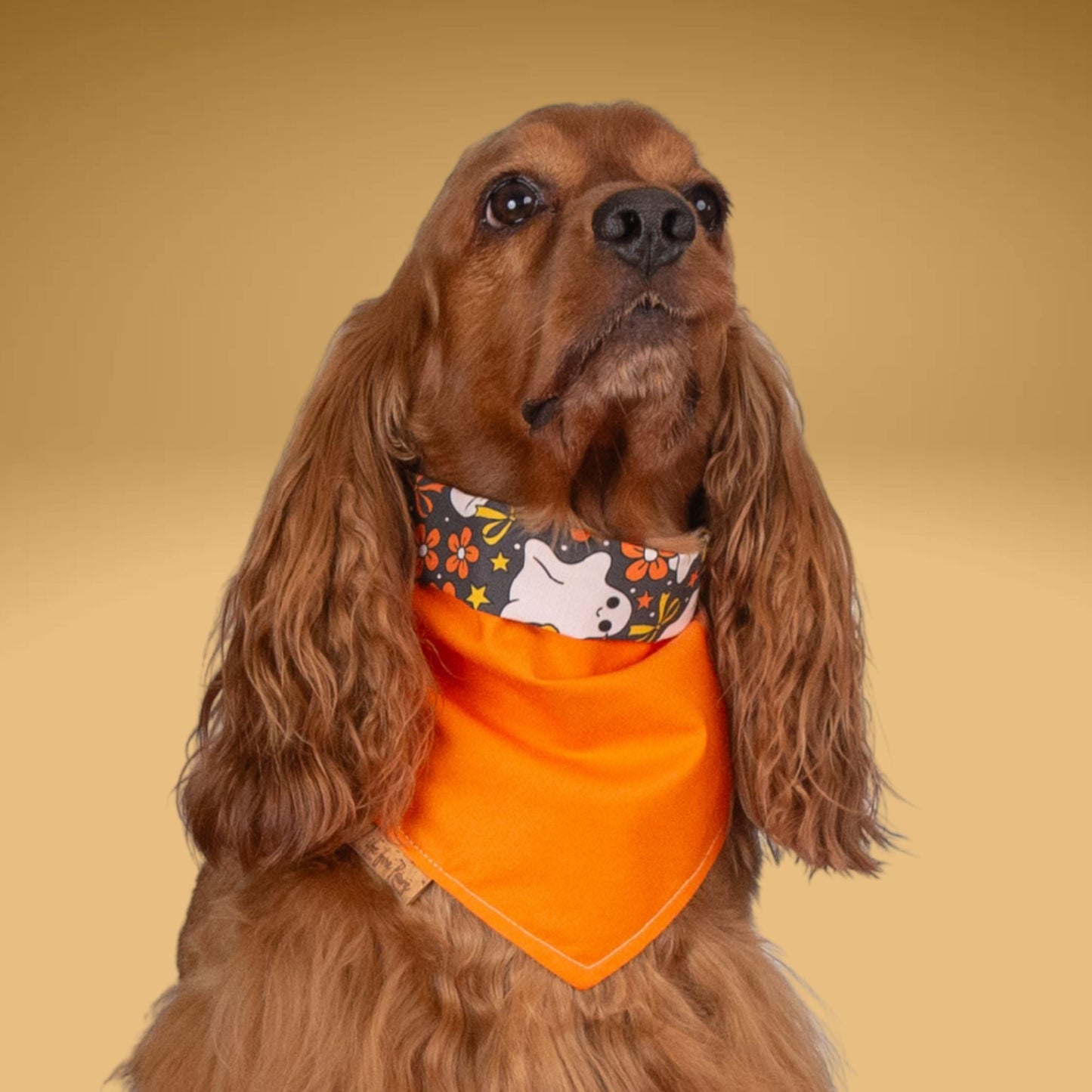 Tie and Snap Floral Ghosts by Life for Pawz – Handmade for pets
