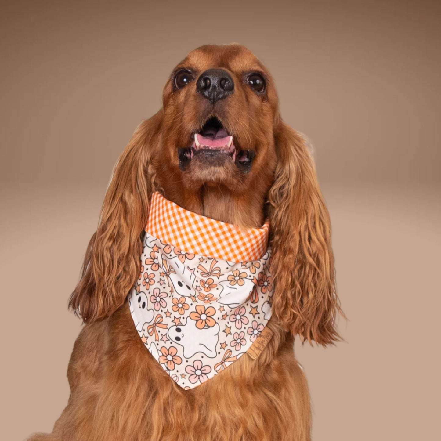 Tie and Snap Ghost Garden by Life for Pawz – Handmade for pets
