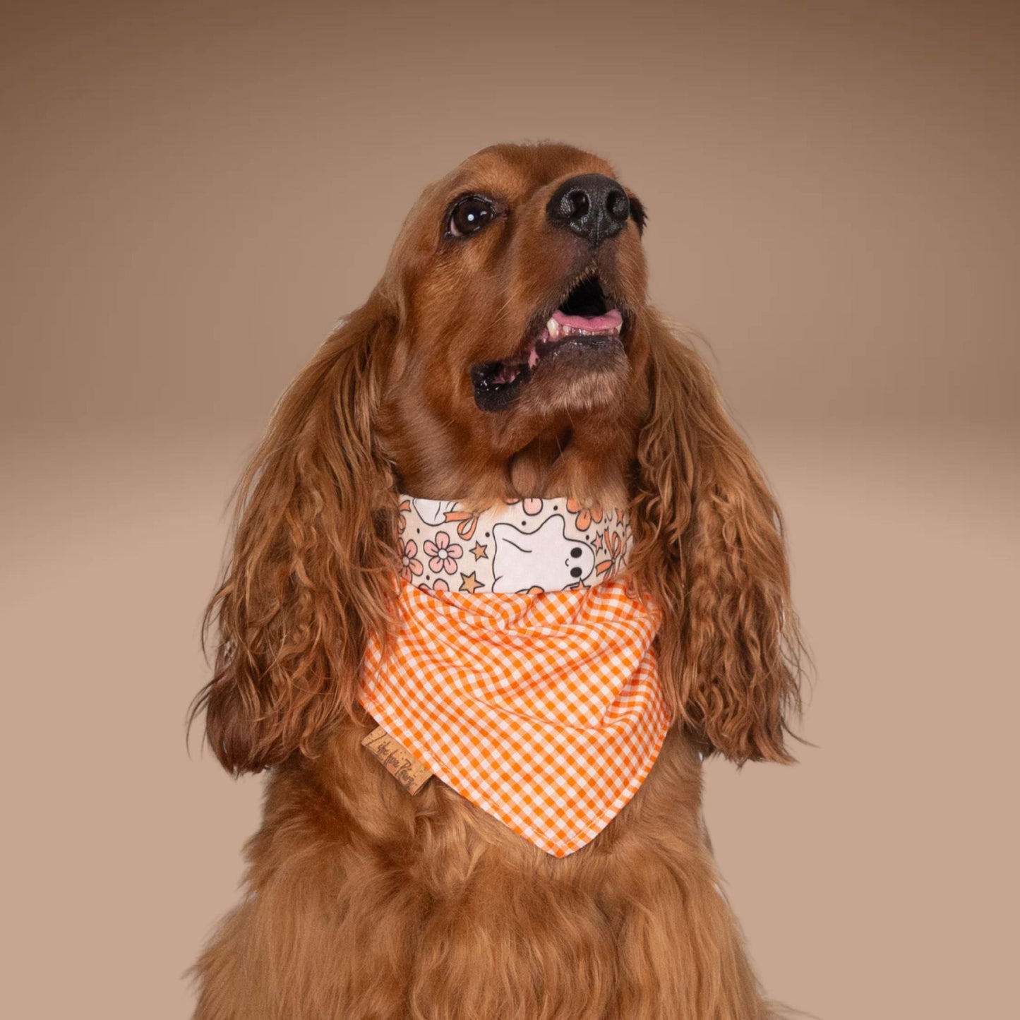 Tie and Snap Ghost Garden by Life for Pawz – Handmade for pets