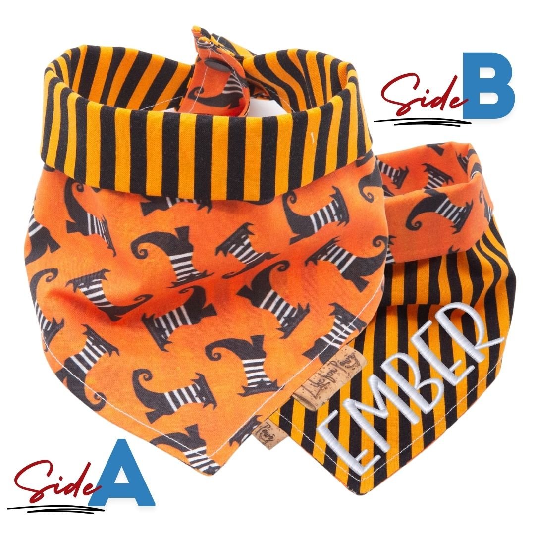 Tie and Snap Halloween Spooky Fun by Life for Pawz – Handmade for pets
