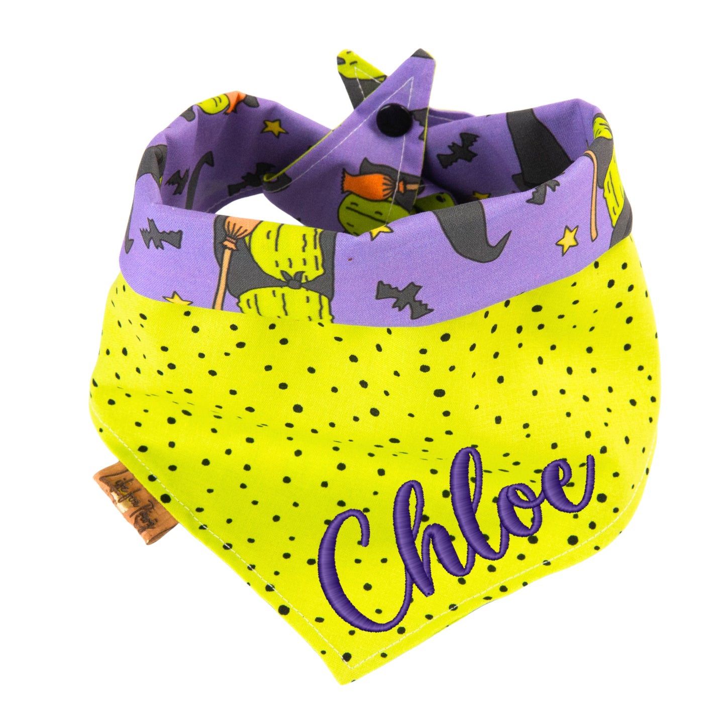 Tie and Snap Halloween Witch Cactus by Life for Pawz – Handmade for pets