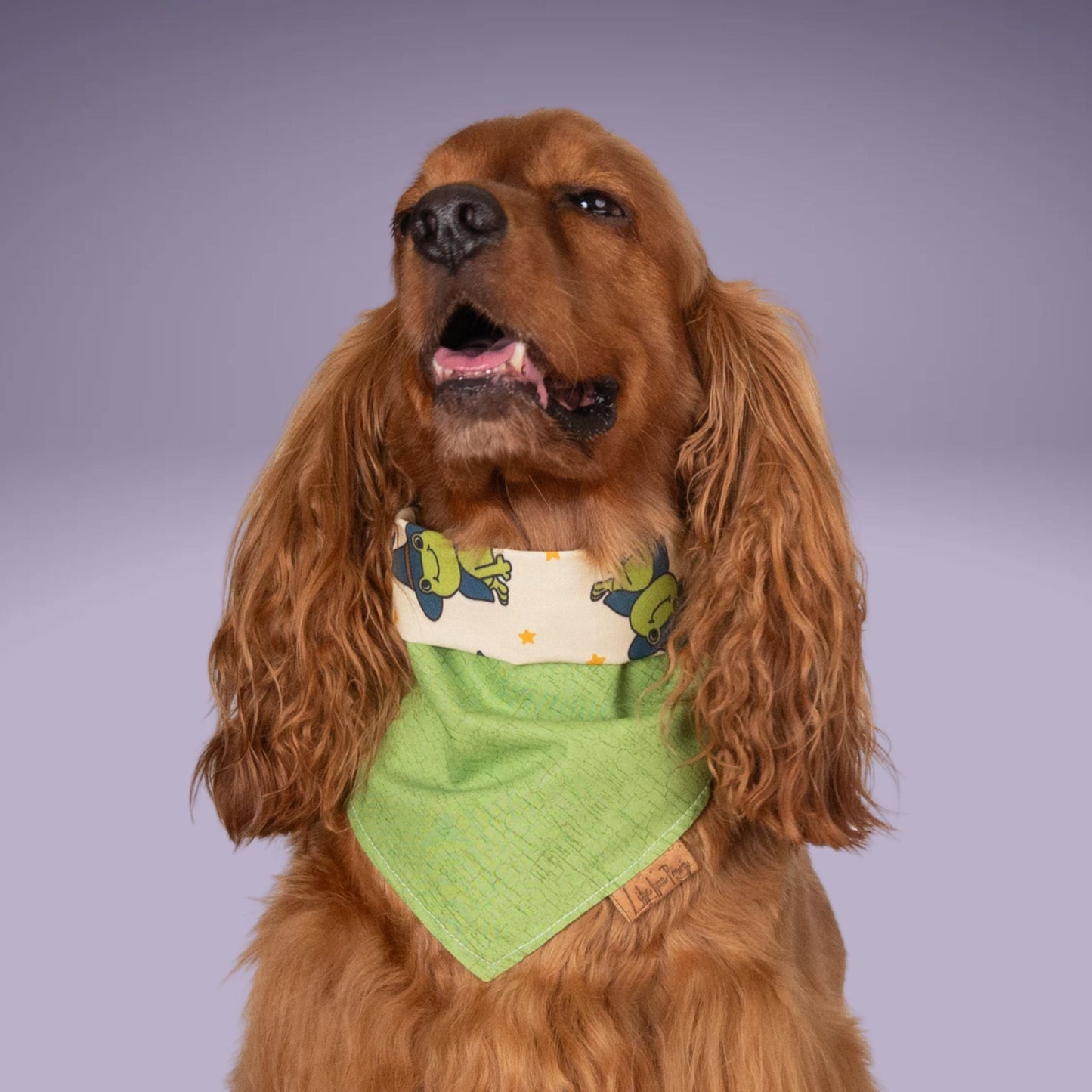 Tie and Snap Hoppy Haunts by Life for Pawz – Handmade for pets